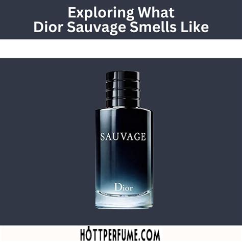 sauvage dior dupe dm|what smells like dior sauvage.